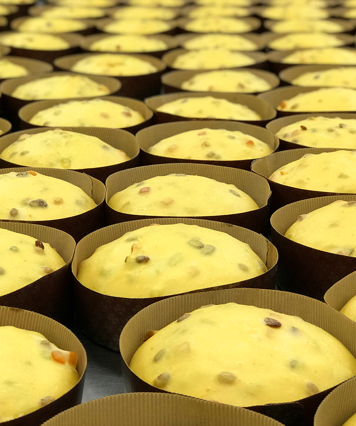 Panettone artigianale Milano - Pasticceria Ottocento Panettone artigianale Milano - Pasticceria Ottocento
