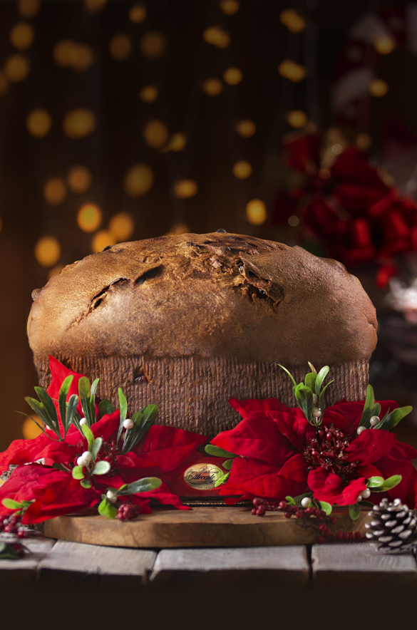 Panettone - home -Ottocento Milano